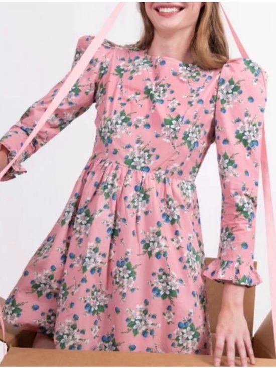 Batsheva Dresses & Skirts - Batsheva Collarless Prairie Mini Dress Pink Lily Floral Cotton Puff Sleeve 18